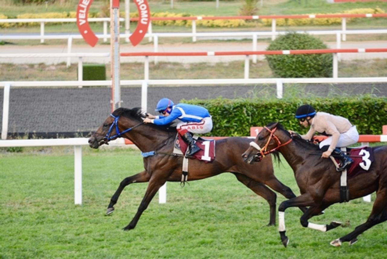 Atilla Özsoy Koşusu’nda galibiyete Azmantor ulaştı