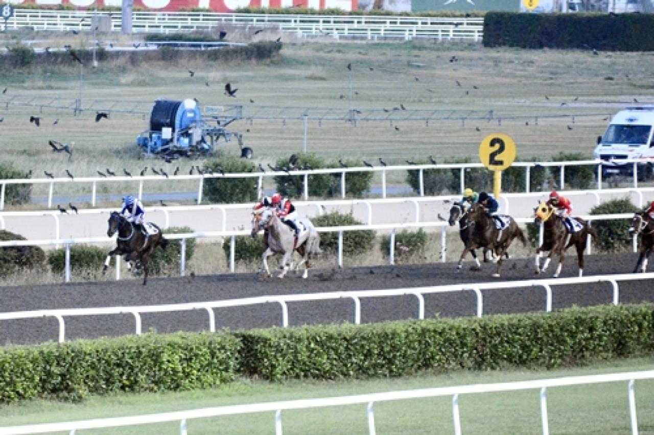 Yarışseverler Koşusu’nda zafer Marka Polo’nun oldu