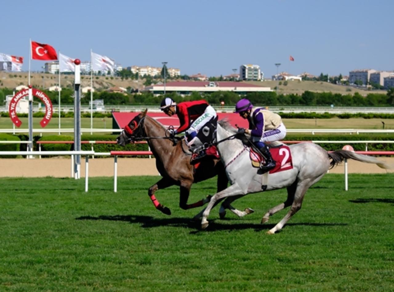 Cemal Tekelioğlu Koşusu’nu Canko kazandı