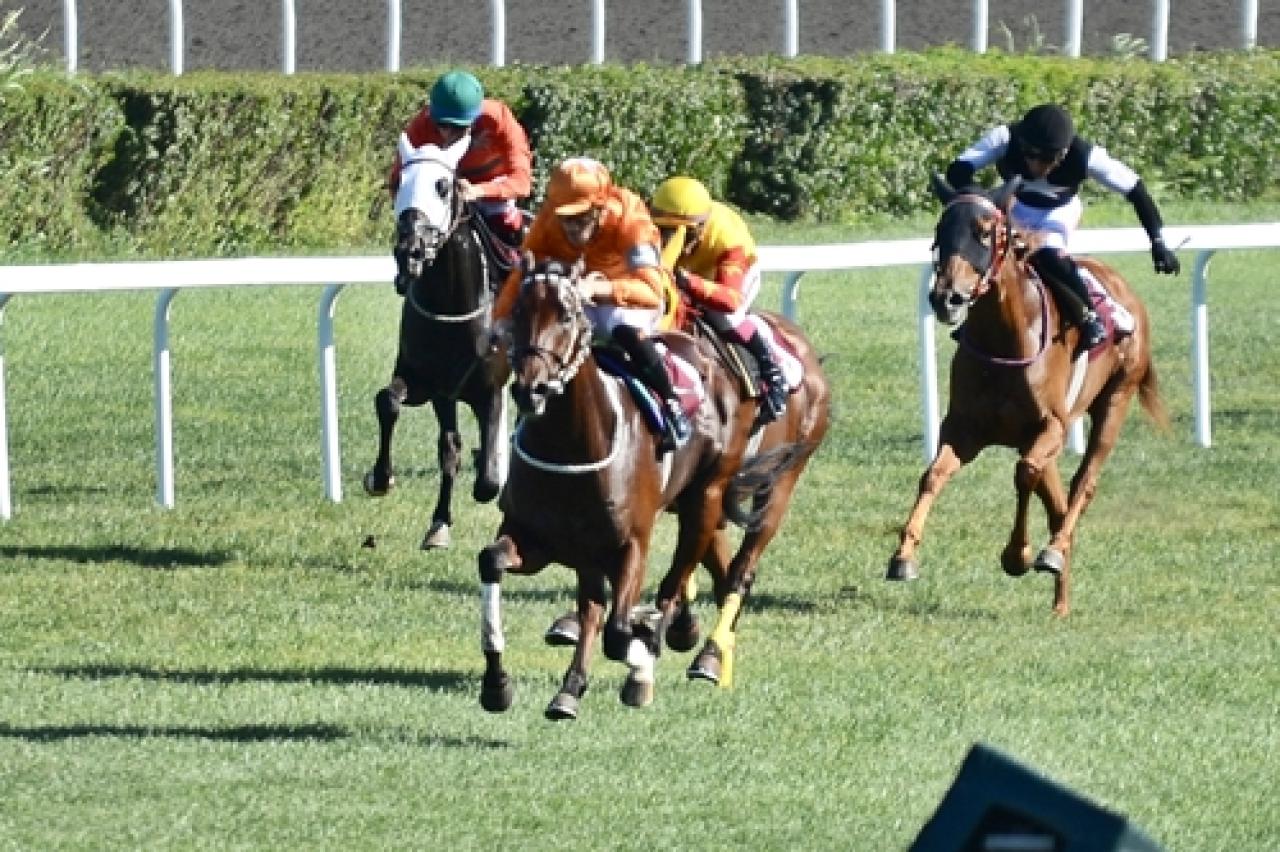 Hüsamettin Tamer Koşusu'nda kazanan Çaldıran oldu