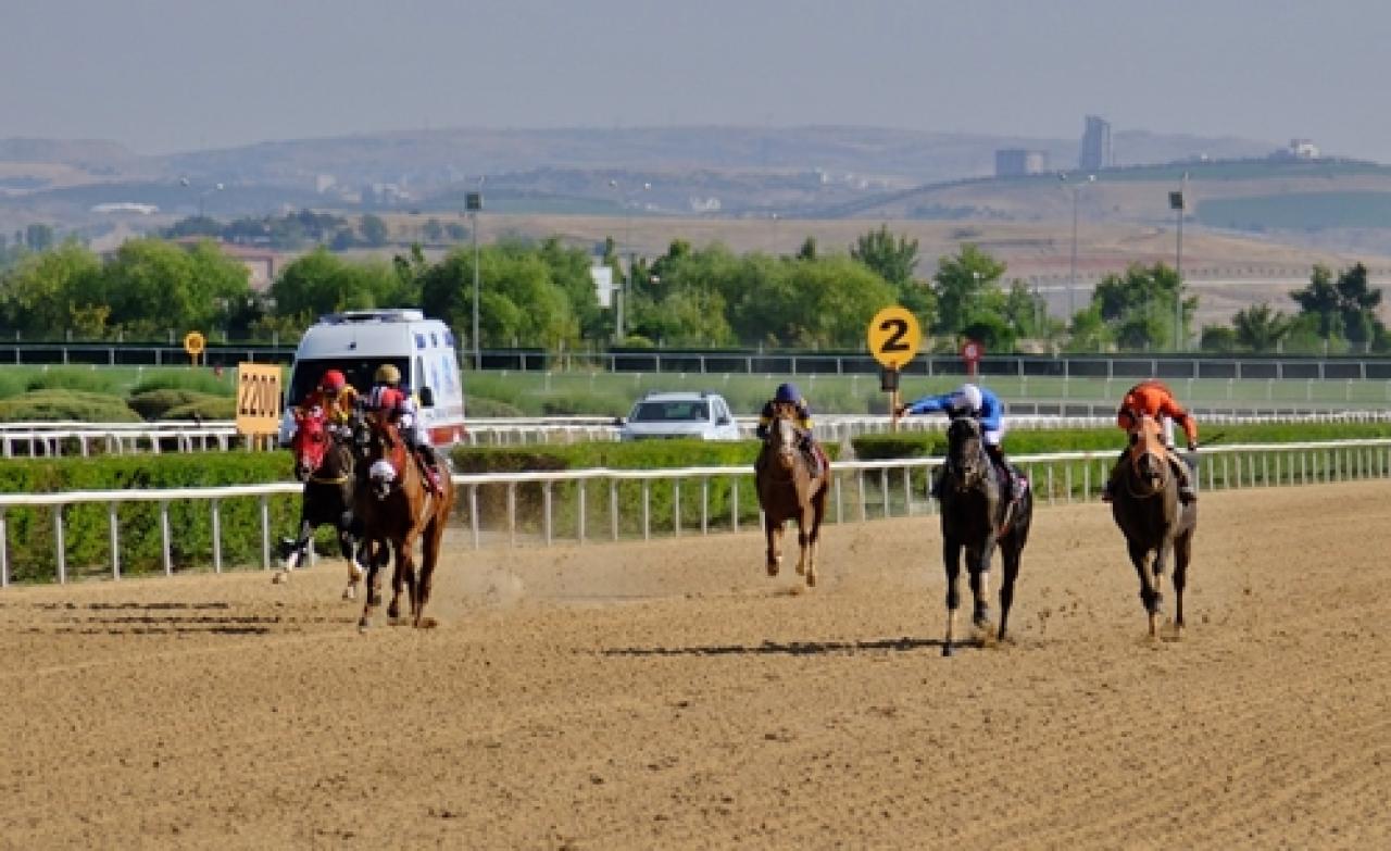 TSYD Ankara Şubesi Koşusu'nu Pehlivan kazandı