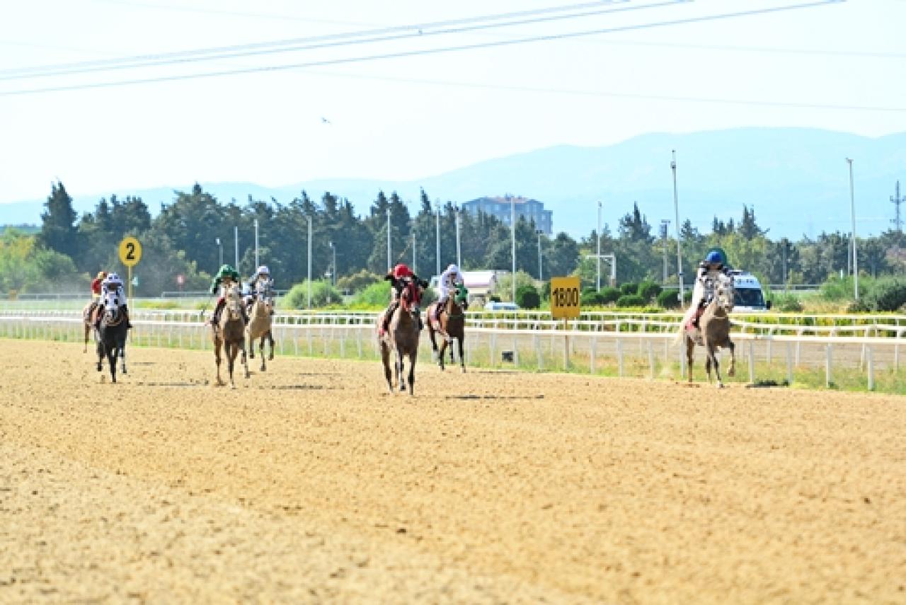 Domaniç Koşusu'nun galibi Büyük Tınas oldu