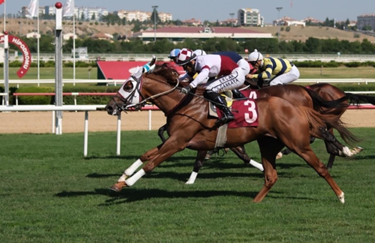 Türkiye Bedensel Engelliler Spor Federasyonu Koşusu’nu Black Lion kazandı