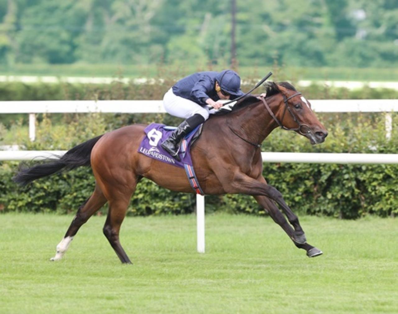 İrlanda’da gerçekleştirilen TJK Koşusu’nu  Ylang Ylang kazandı