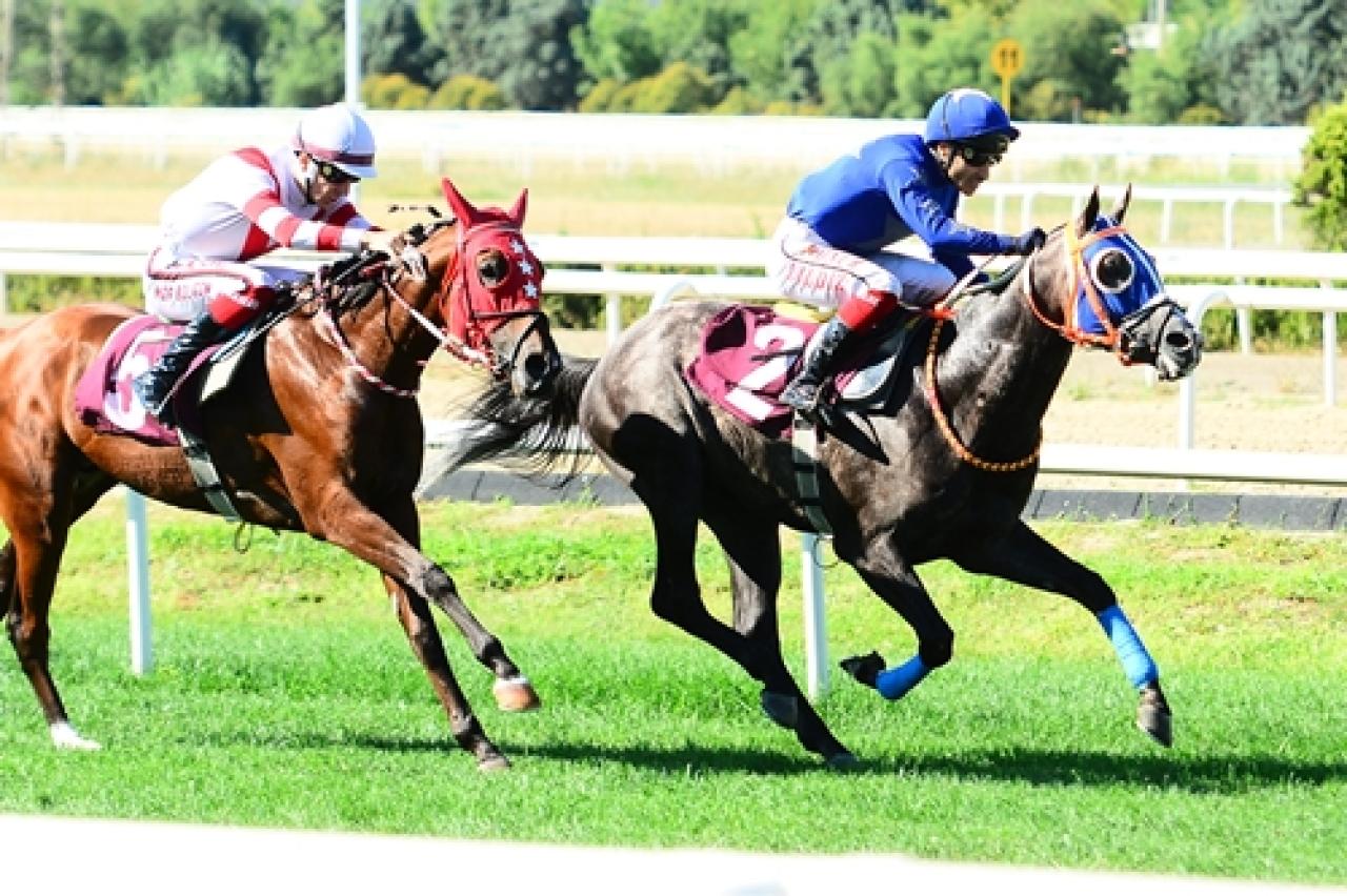 Uludağ Üniversitesi Veteriner Fakültesi Koşusu'nu Bay Onur kazandı