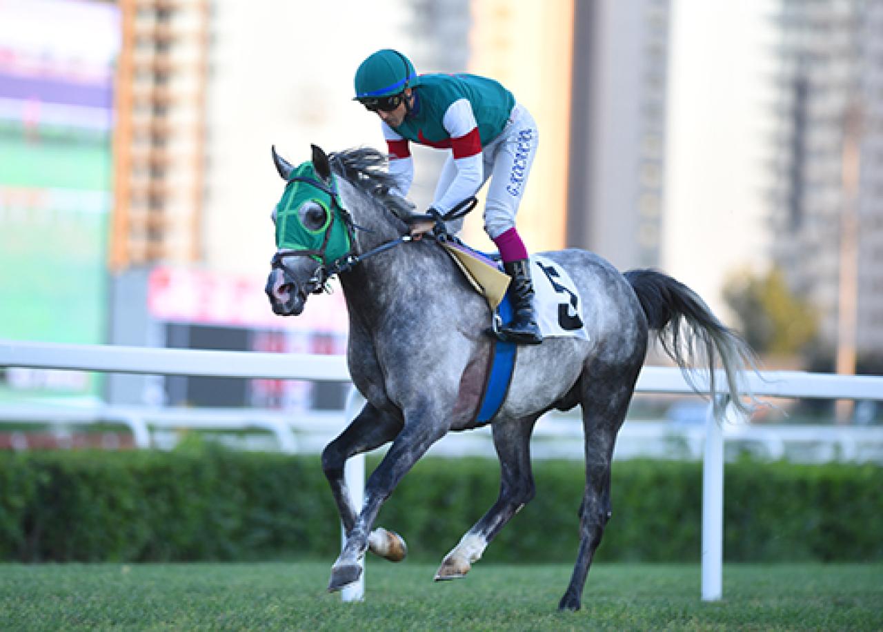 Kosova Koşusu'nu Soydere kazandı