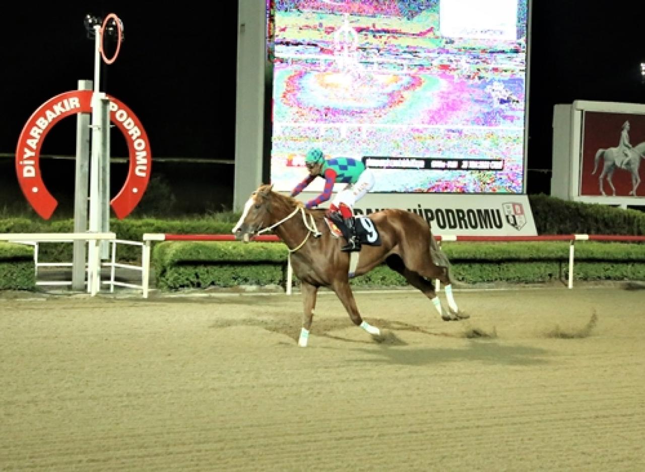 Diyarbakır Gençlik ve Spor İl Müdürlüğü Koşusu’nu Yıldızkıran kazandı