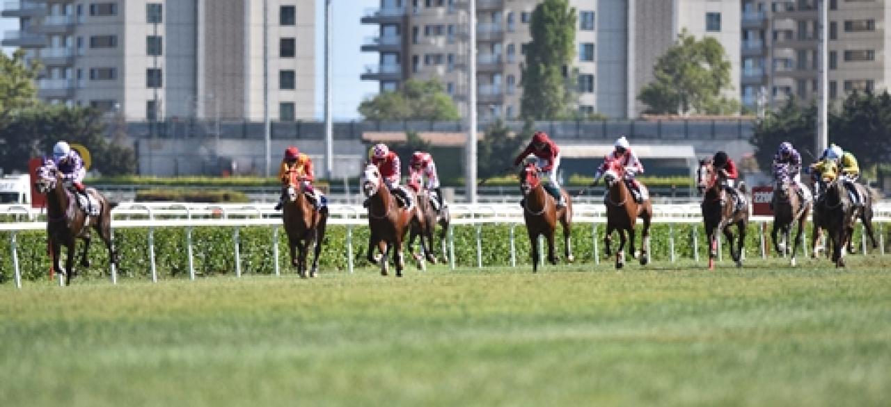 Çanakkale Zaferi Koşusu'nun galibi Zincir Koparan oldu