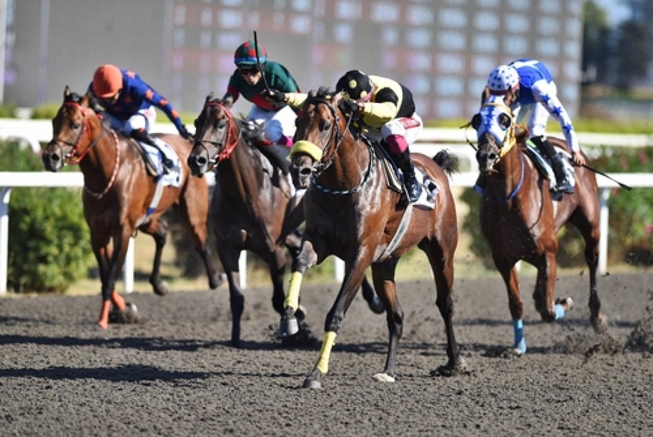 Kuzey Kıbrıs Türk Cumhuriyeti Koşusu'nda kazanan Make A Fire oldu