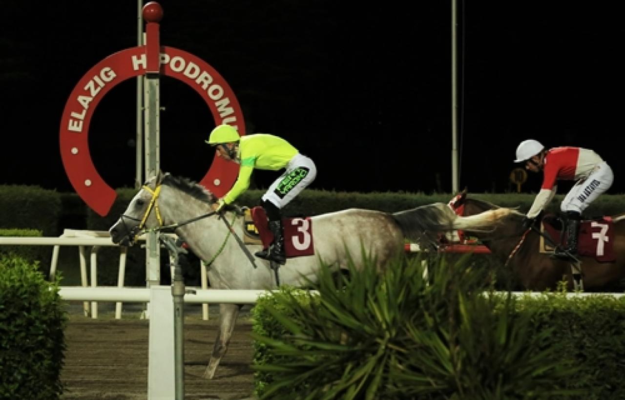 Elazığ İl Tarım ve Orman Müdürlüğü Koşusu’nu Dörtnalbeyi kazandı