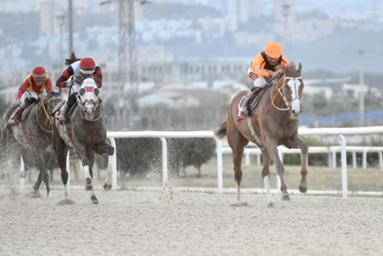 Kocaeli Üniversitesi Koşusu'nu Wardenclyffe kazandı