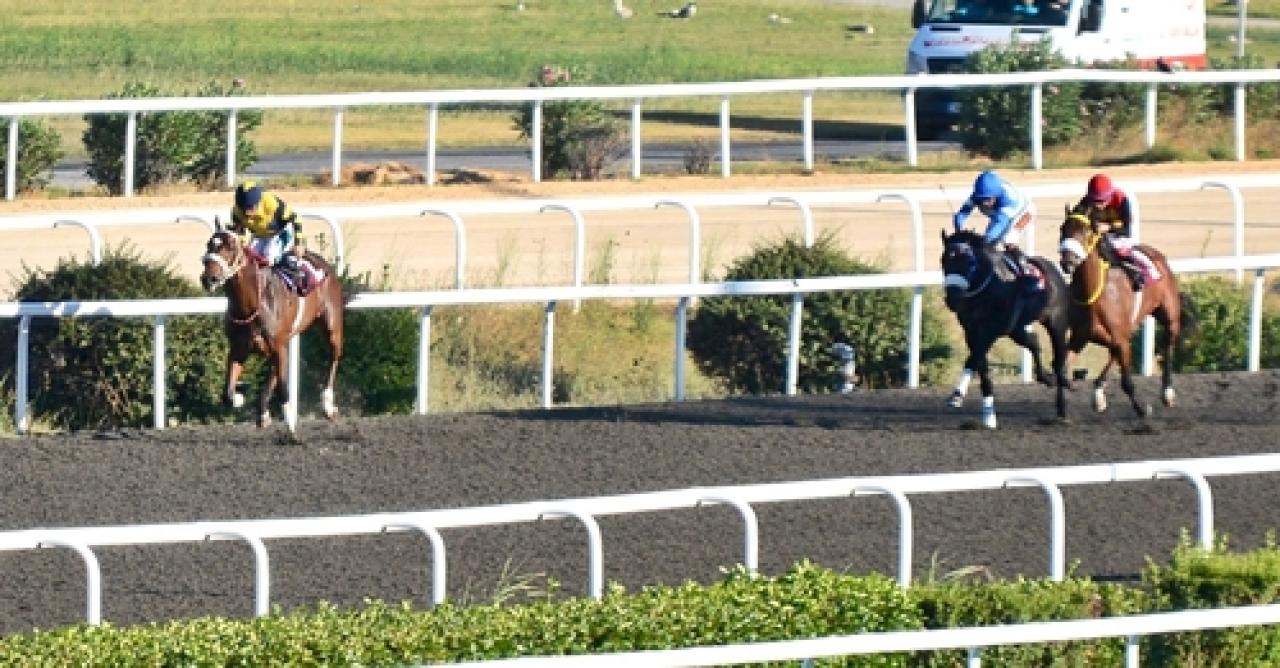 M. Halim Celaloğlu Koşusu'nun galibi Madras oldu