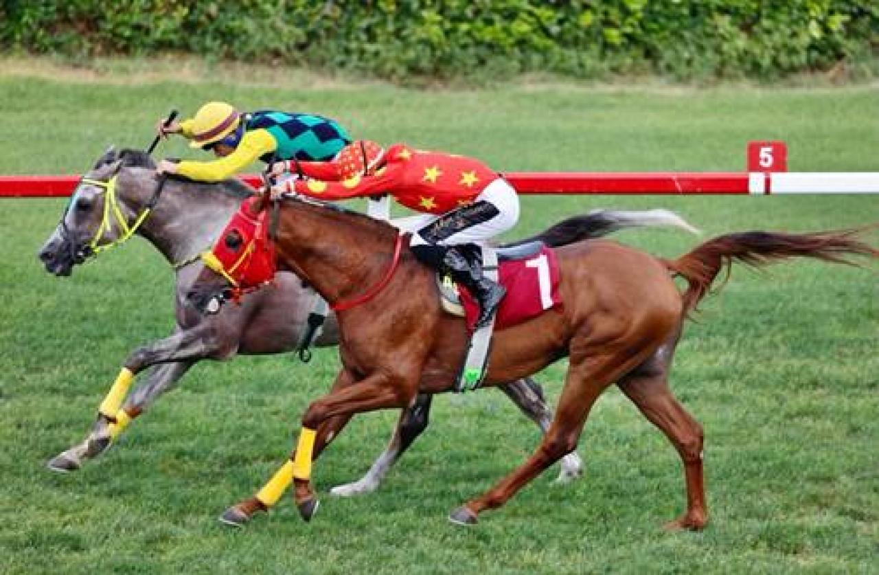 Merhum Asli Üyemiz Murat Yazıcı’yı saygıyla anıyoruz