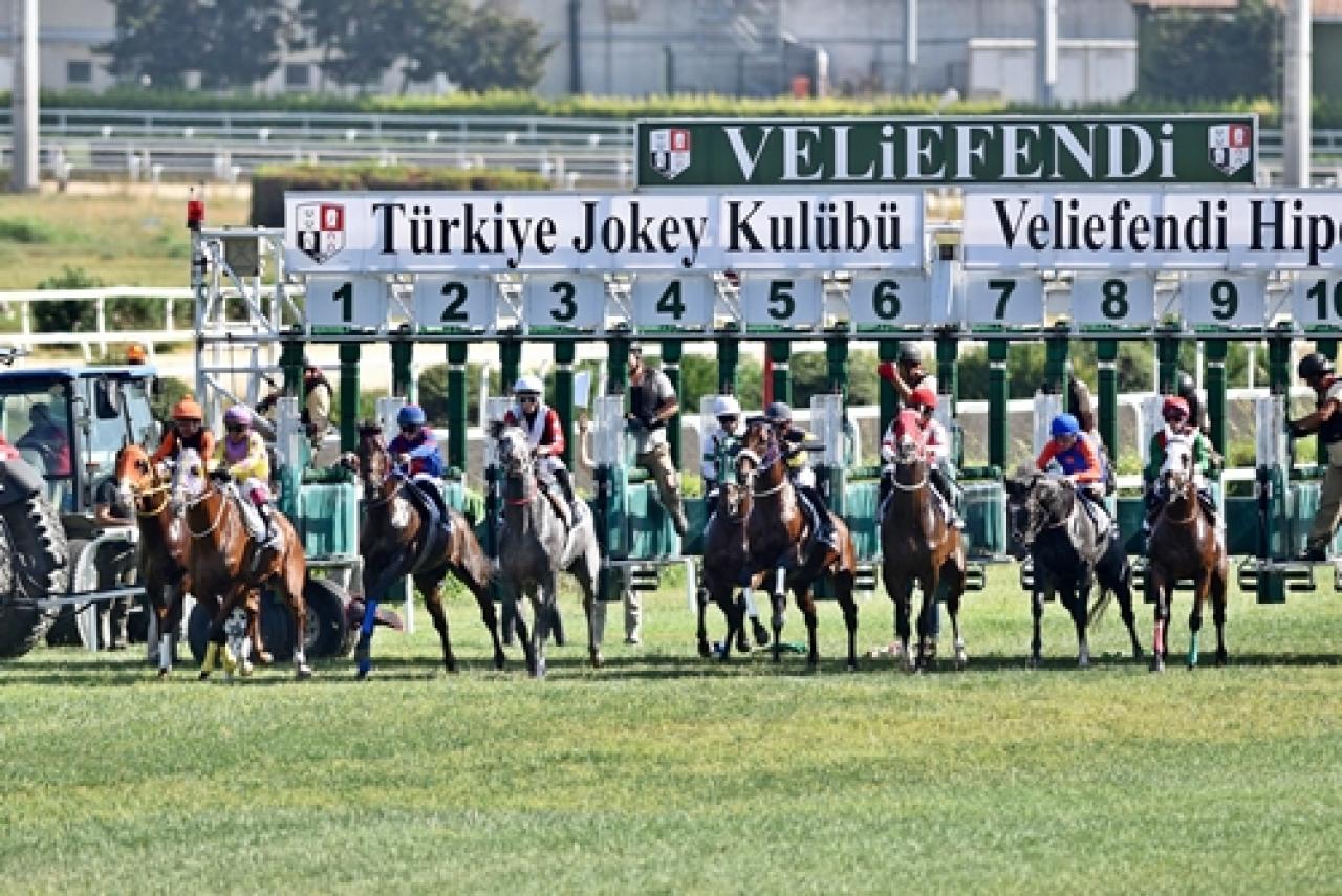 Mimar Sinan Koşusu'nda galibiyete Native Power uzandı