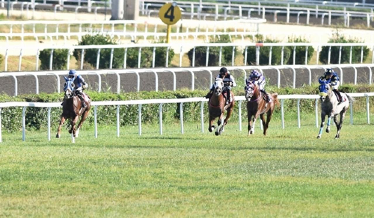 Murat Yazıcı Koşusu'nu Topaz Girl kazandı