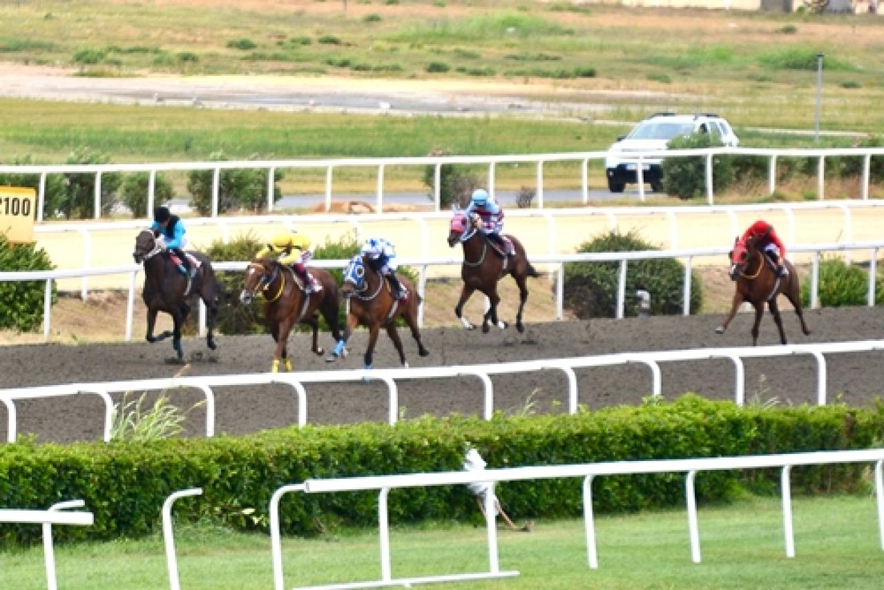 Şükrü Yurteri Koşusu'nu Gold Power kazandı