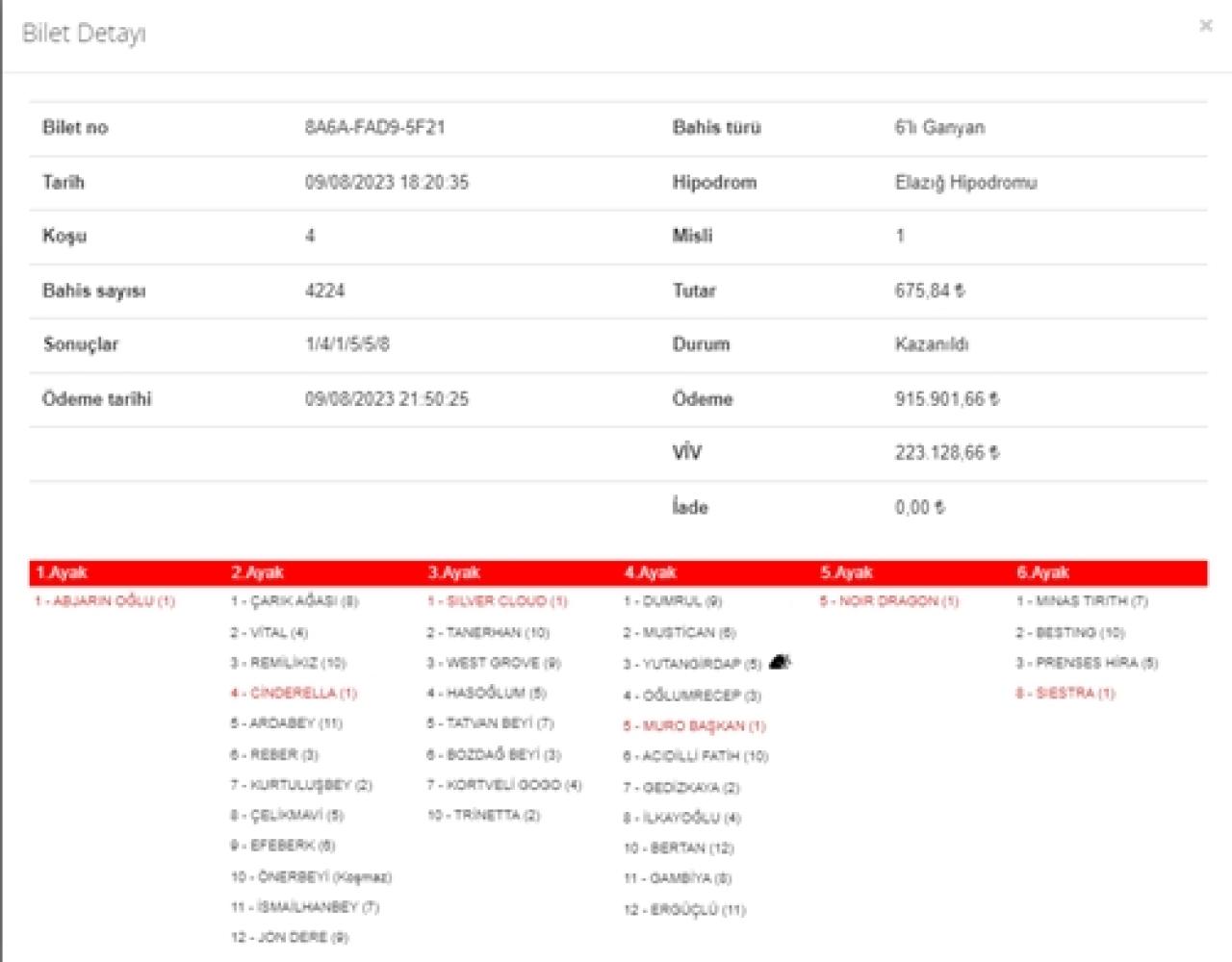 Elazığ’da 2. 6’lı Ganyan’ı 4 kişi bildi