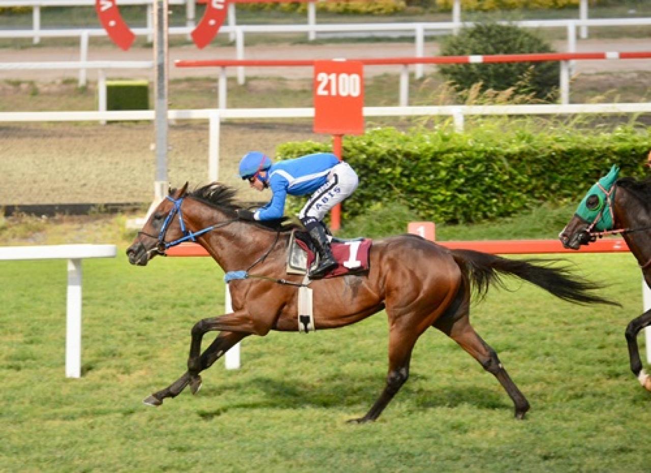 At Yarışı Yazarları Derneği Koşusu'nda kazanan üst üste ikinci kez Azmantor oldu