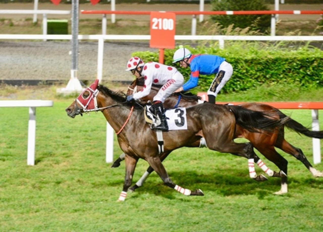 Celal Bayar Koşusu'nu Go Hero kazandı