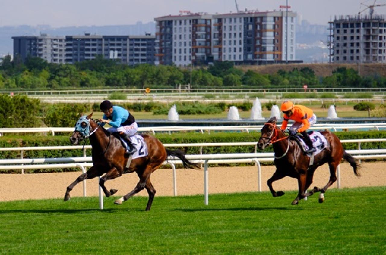 Karayel Koşusu'nda birinciliğe Blue Sunset uzandı