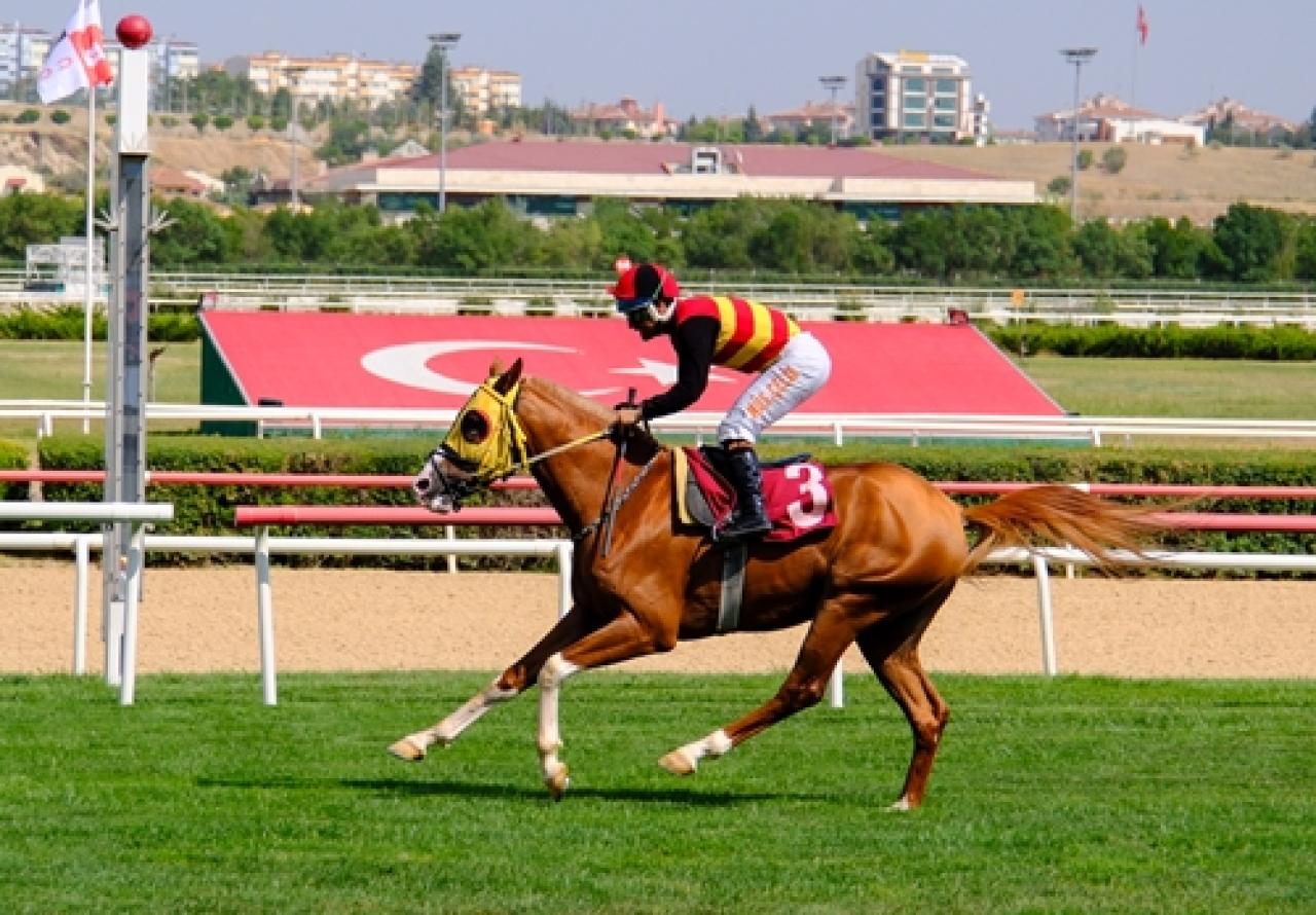 Anadolu At Irklarını Yaşatma ve Geliştirme Derneği Koşusu'nu Boğaz Çocuğu kazandı