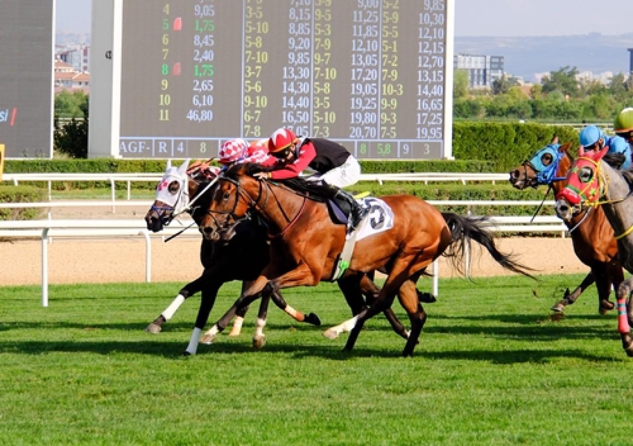 Karadeniz Koşusu’nda zafere ulaşan Chaika oldu