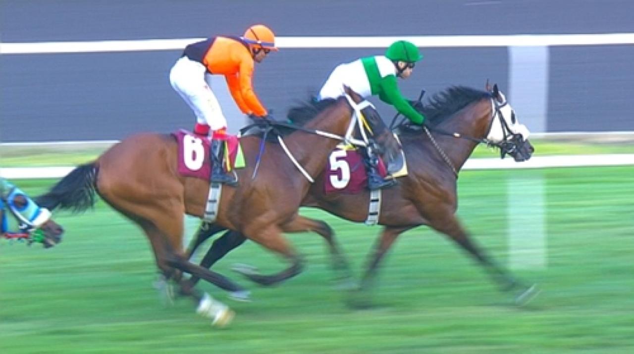 Demirci Akıncıları Koşusu'nu Uygar Bey Kazandı