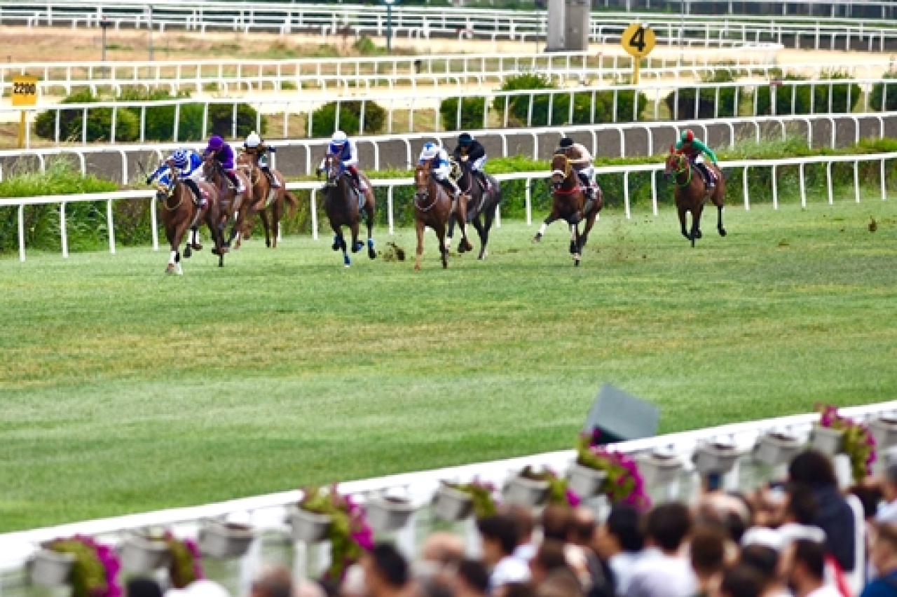 M. Kemal Karamehmet Koşusu'nu Bright Hope kazandı
