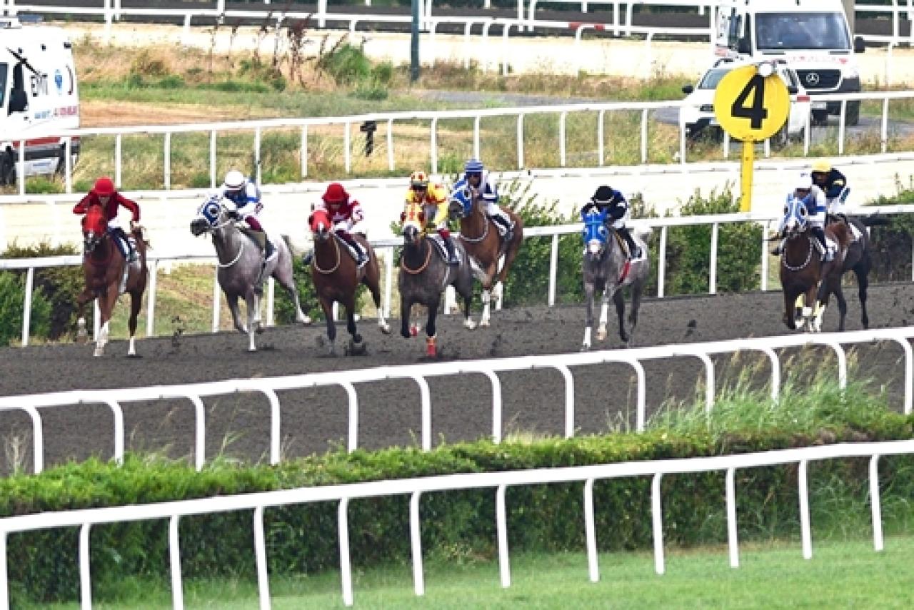 Nedim Ökmen Koşusu'nda kazanan Demirberke oldu