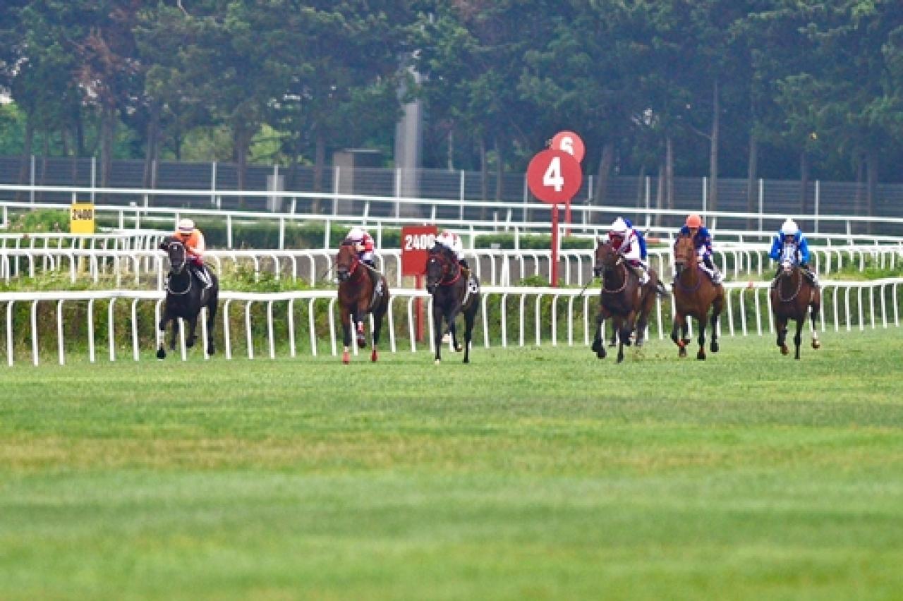 Fatih Sultan Mehmet Koşusu'nda zafere Burgas uzandı