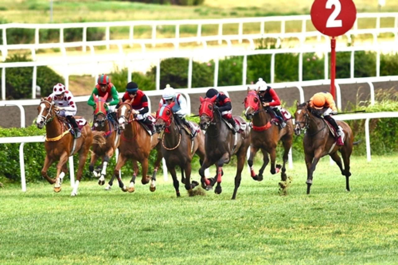 Dr. Ender Aydıner Koşusu'nun galibi Operasyon oldu