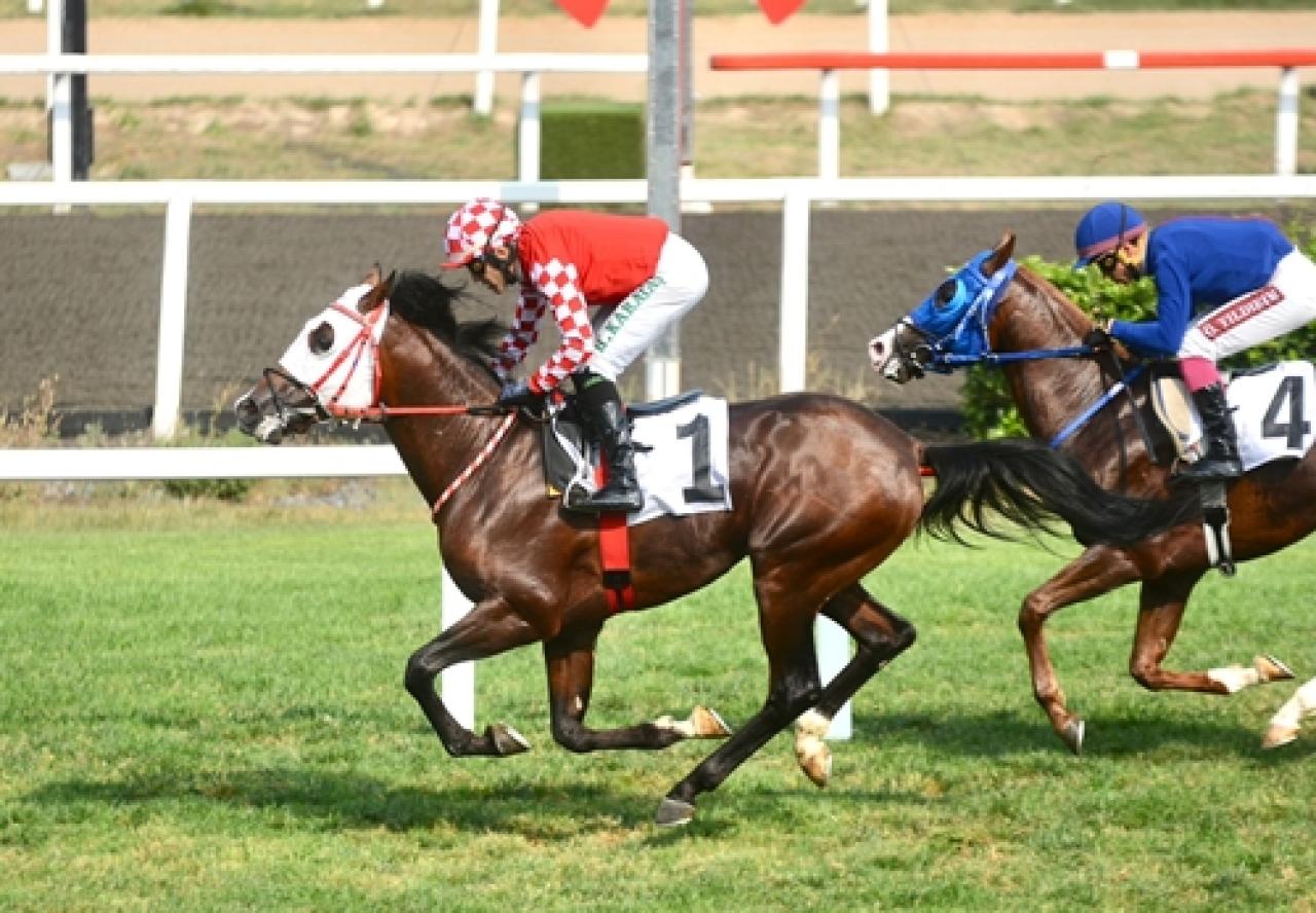 Aziziye Koşusu'nu Bozkırefesi kazandı