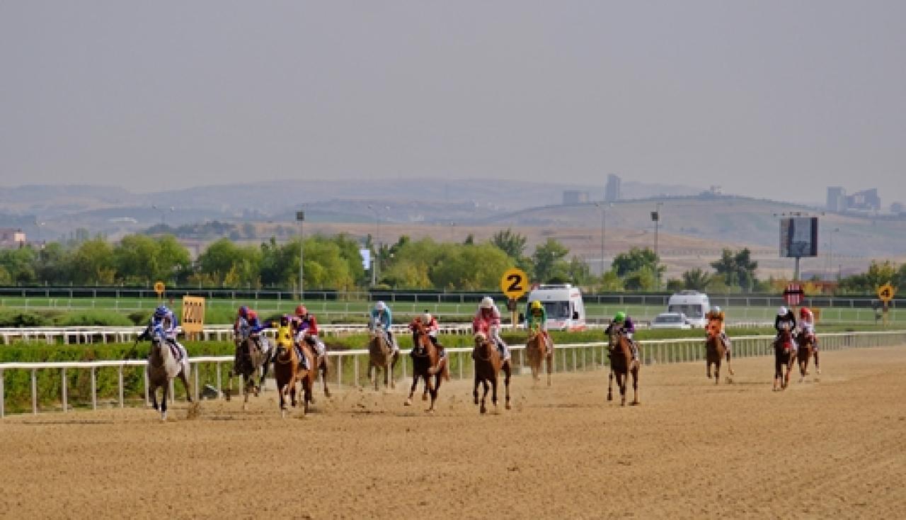 Mehmet Ali Kiper Koşusu'nu Beyazışık kazandı