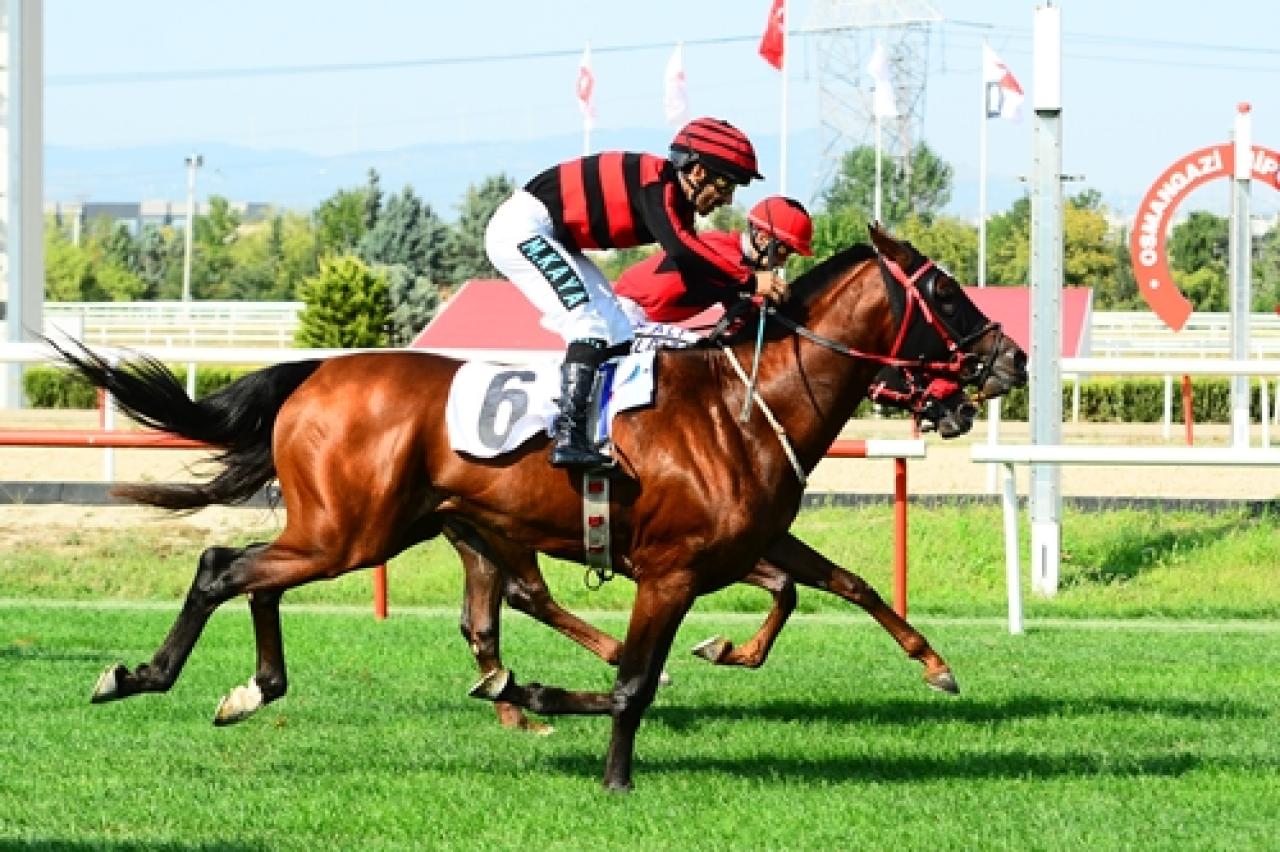 Karacabey Koşusu’nda zafer Kaşmir Tay’ın oldu