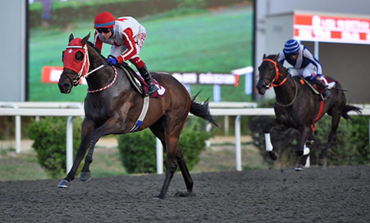 Dr. Özcan Kızılkaya Koşusu’nda galibiyete Dagmar ulaştı