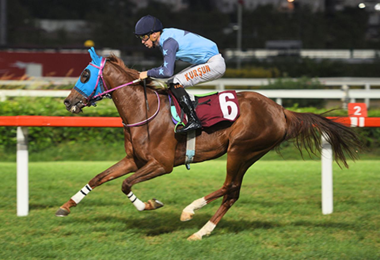 Bakırköy Belediye Başkanlığı Koşusu’nu Tekçarem kazandı