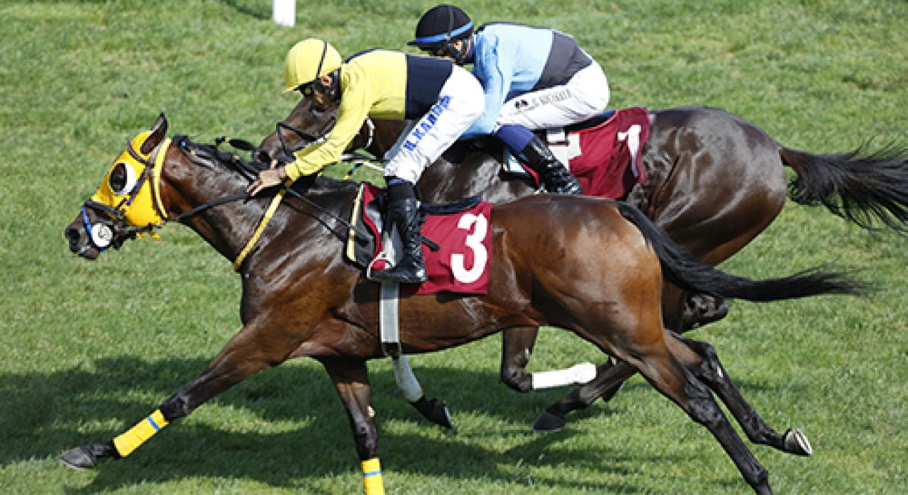 Merhum Asli Üyelerimiz Osman T. Atakol ve Safiyettin Sakarya’yı saygıyla anıyoruz
