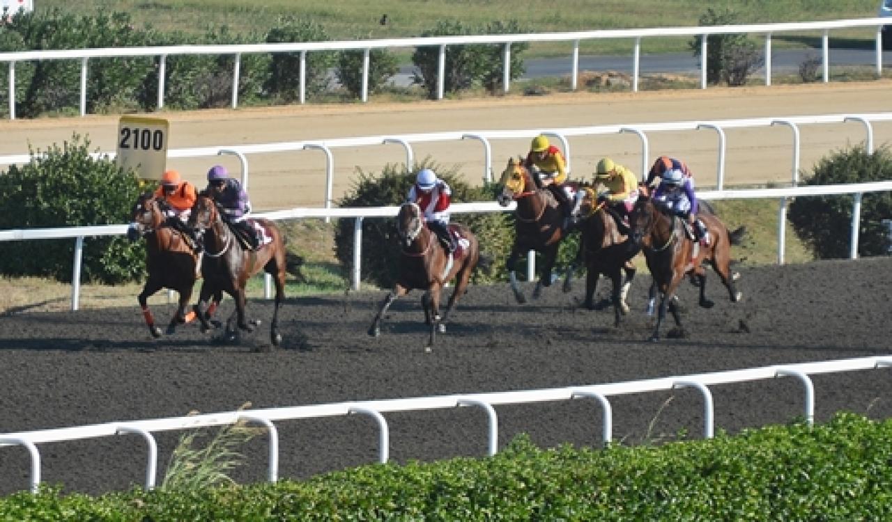 Safiyettin Sakarya Koşusu'nda kazanan Kayı Beyi oldu