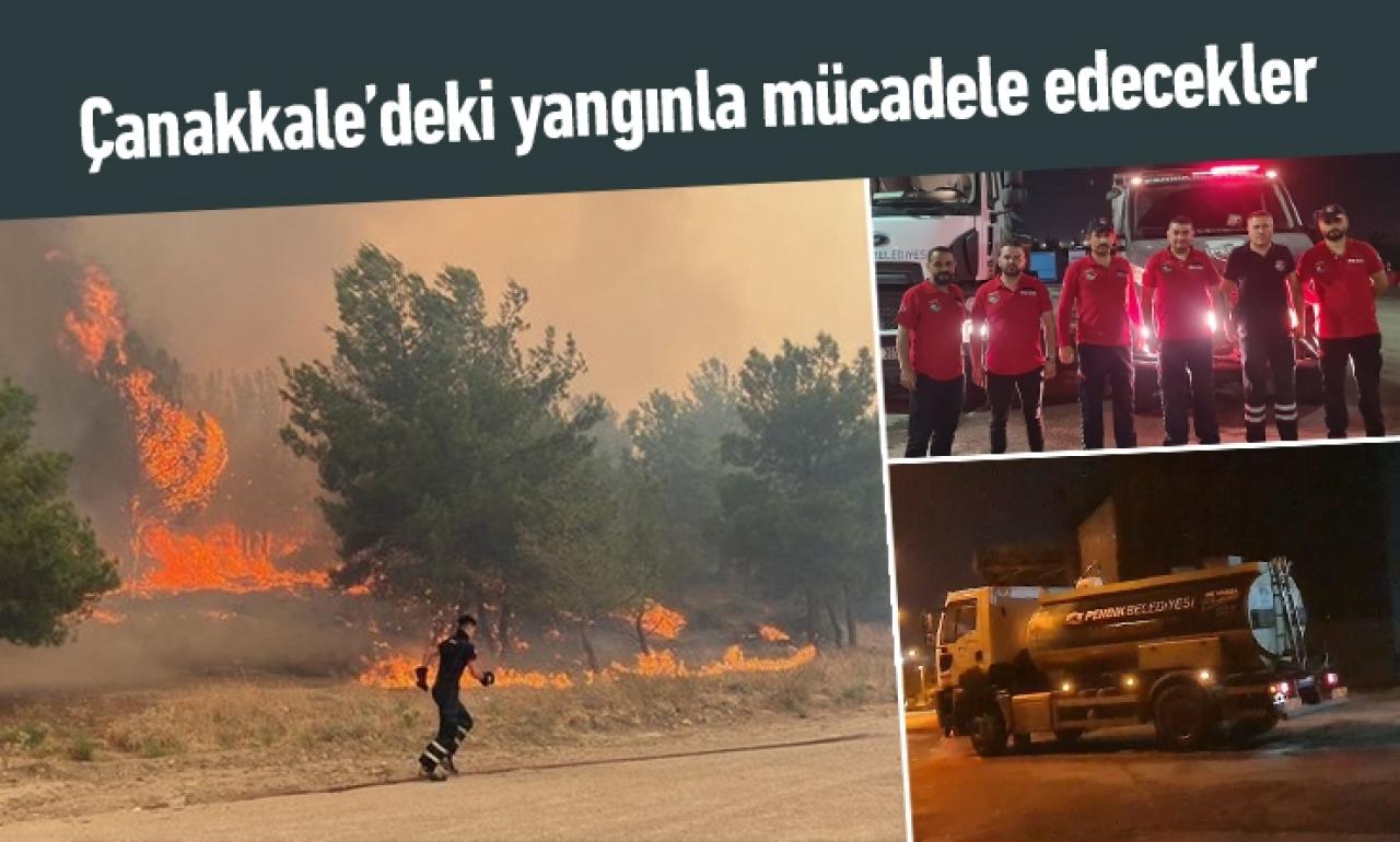 Çanakkale’deki yangınla mücadele edecekler