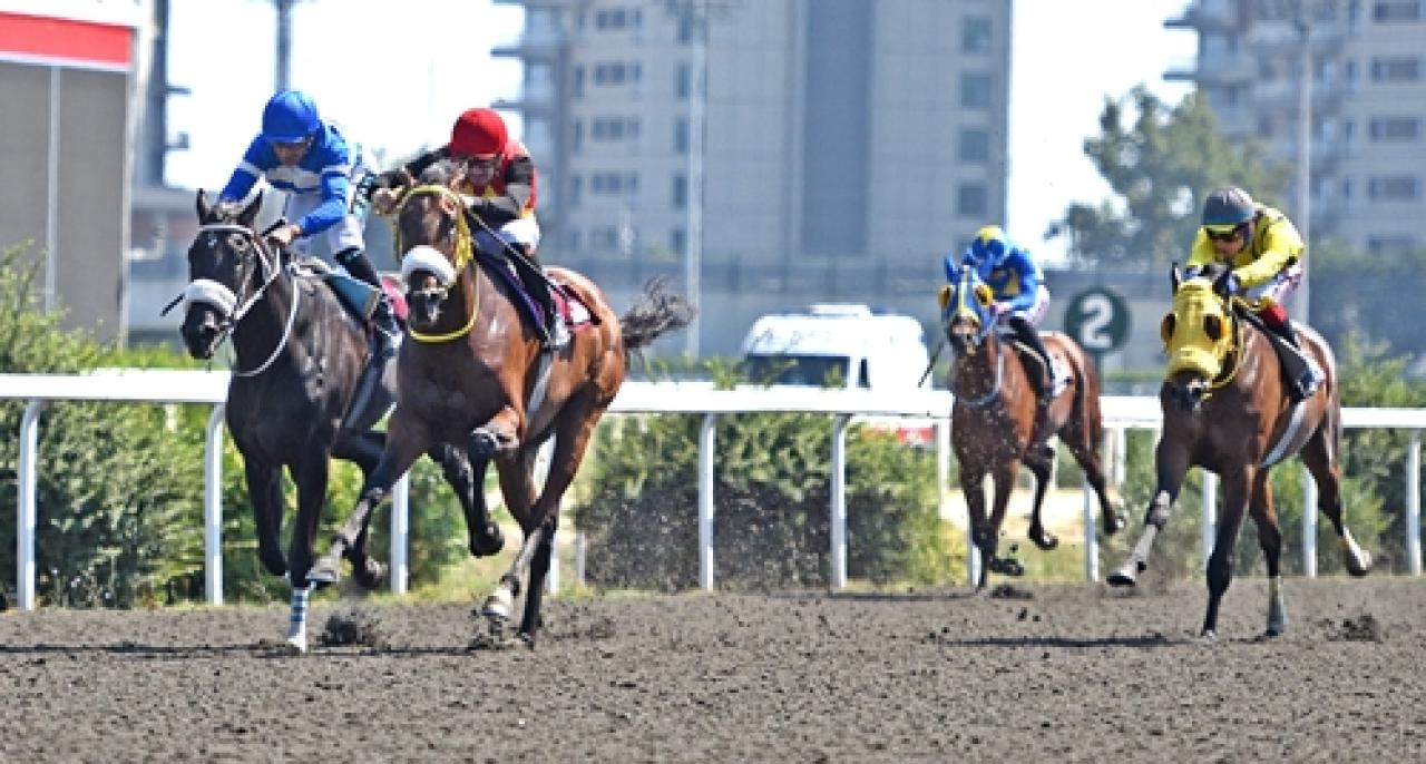 Gürkan Hüsnü Oker Koşusu'nun galibi Pitfall oldu
