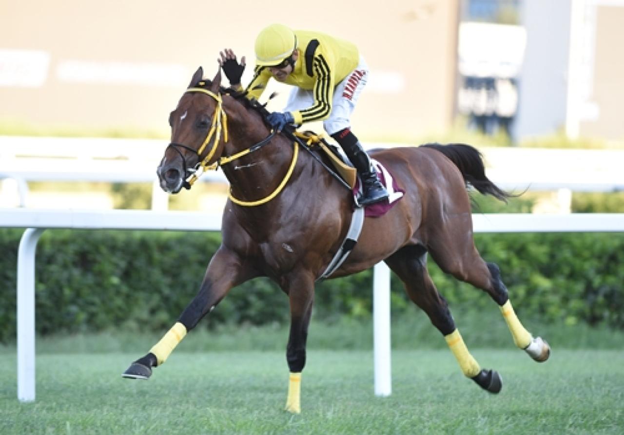 Kenan Atan Koşusu’nda kazanan Alihan oldu