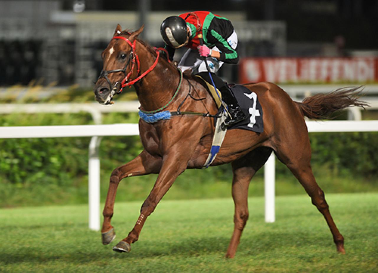 Silivri Belediyesi Koşusu’nu El Maestro kazandı