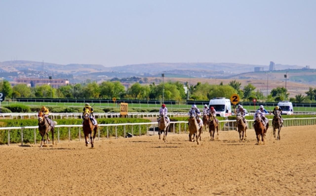 Sultansuyu Tarım İşletmesi Koşusu'nu Bozarslan kazandı