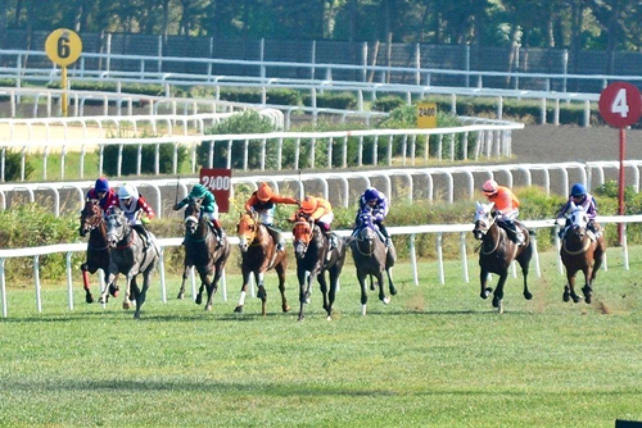 Büyük Taarruz Koşusu'nda zafere Native Power uzandı