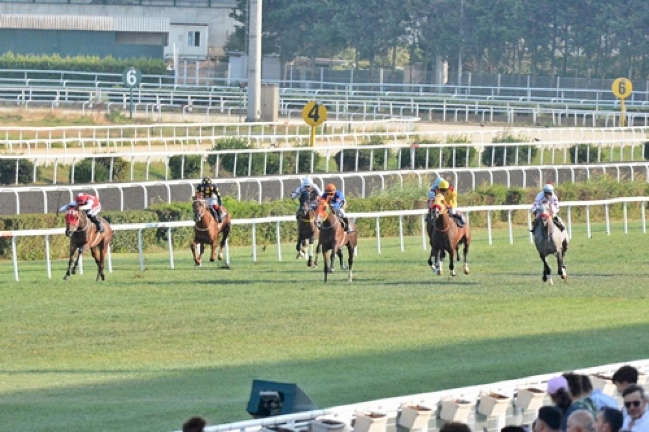 Münir Köseoğlu Koşusu'nun galibi Snellman oldu
