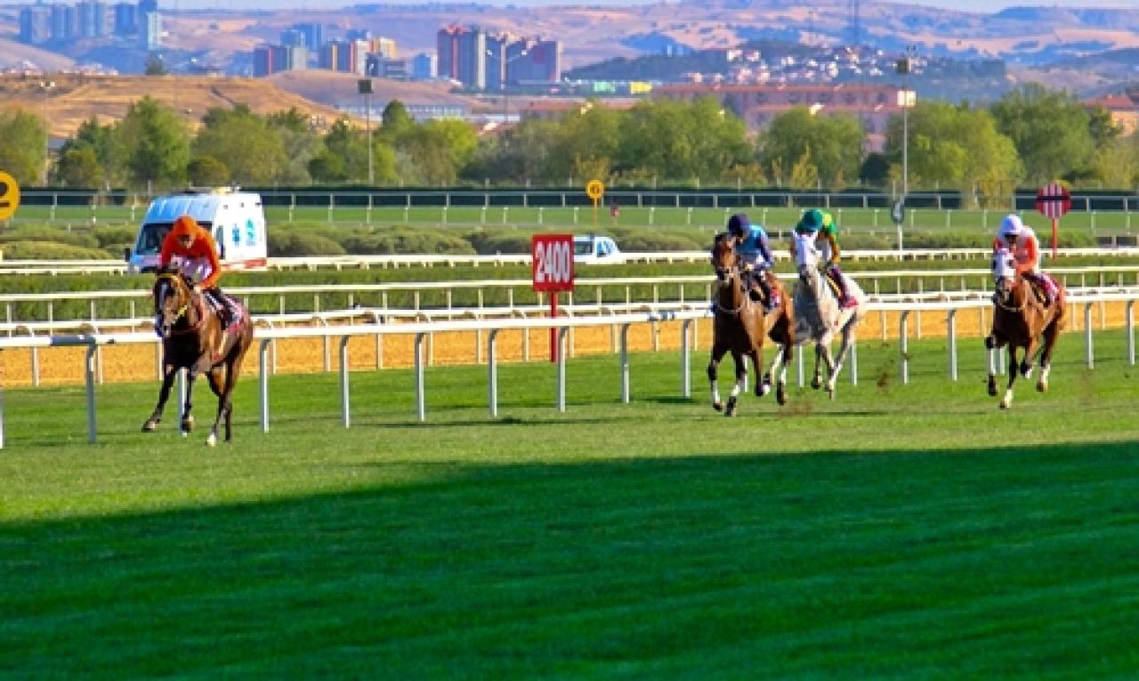 Yenimahalle Belediye Başkanlığı Koşusu'nu Taylolo kazandı