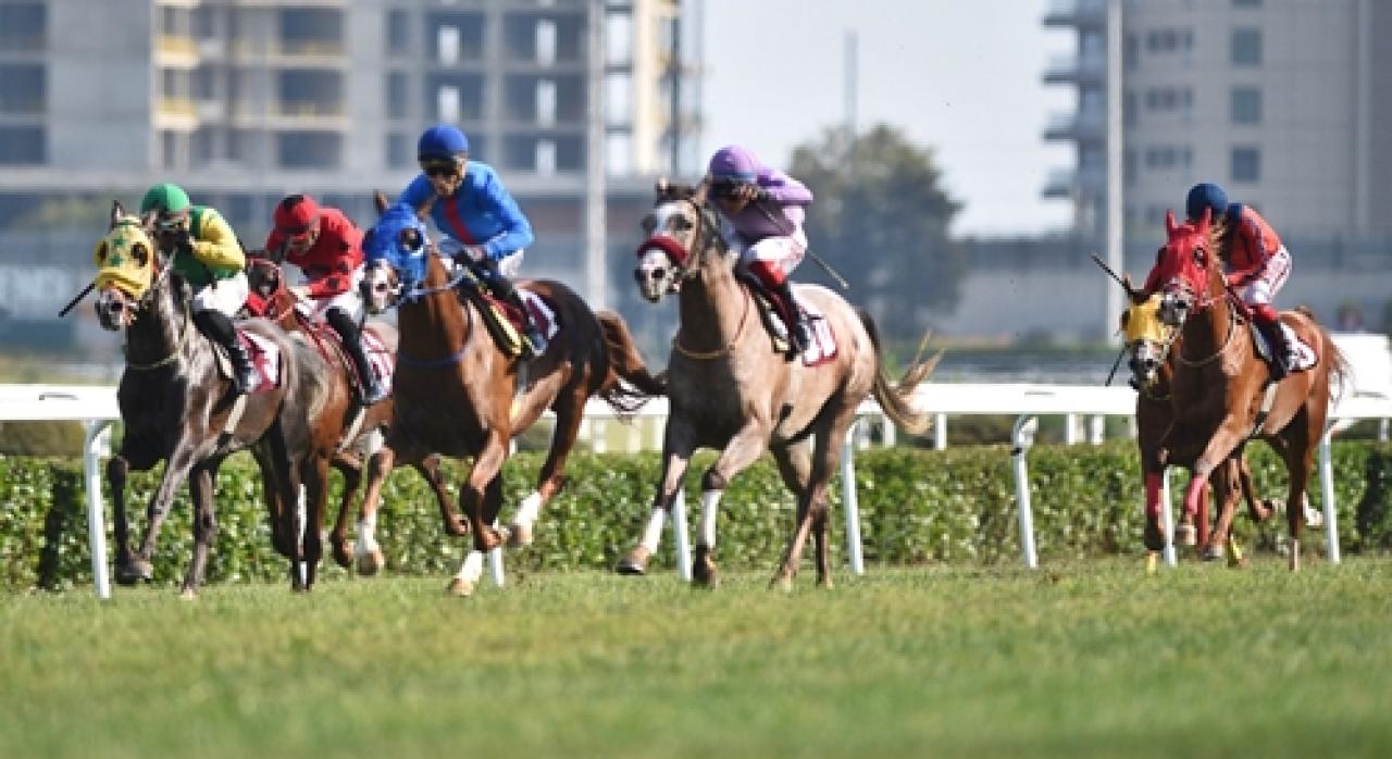 Nevzat Zaimoğlu Koşusu'nu İsyan Ateşi kazandı