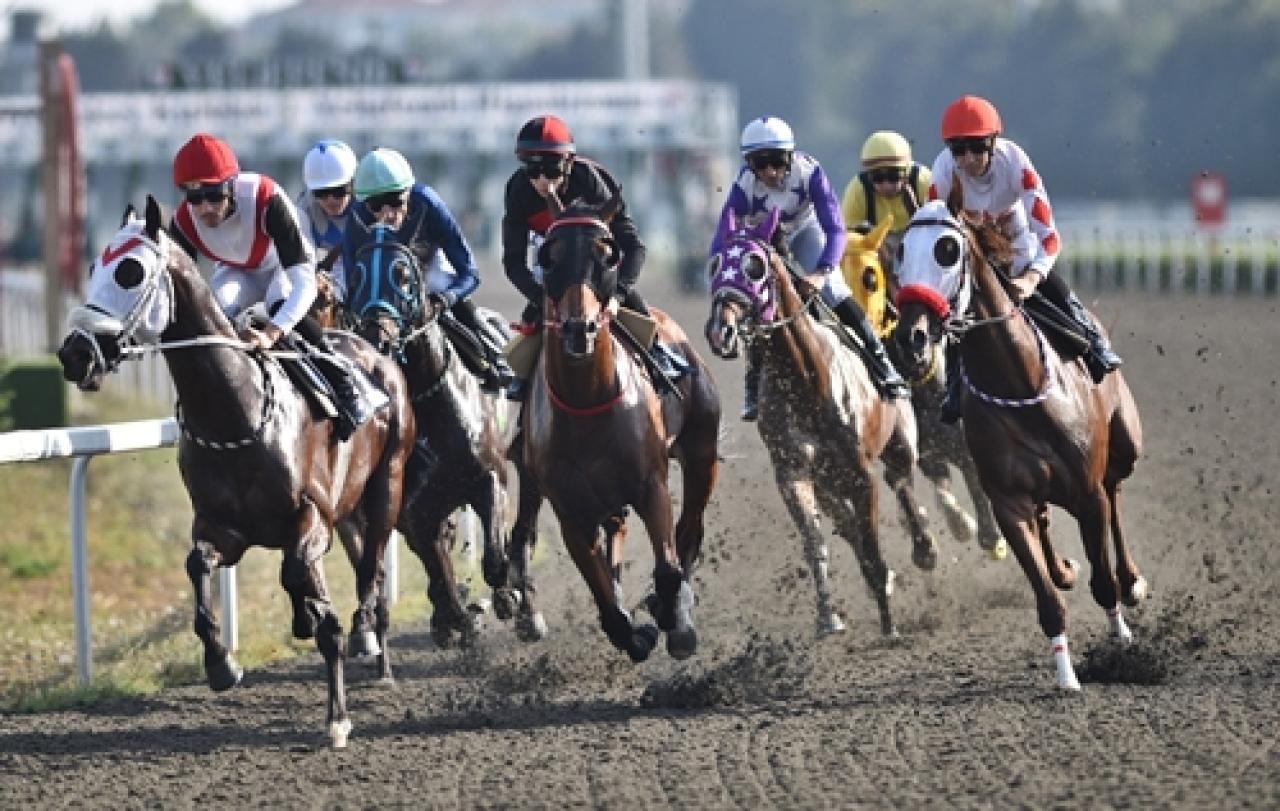 Bakırköy Kaymakamlığı Koşusu'nun galibi Cool Star oldu