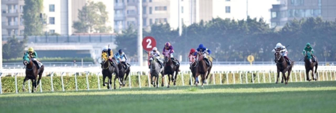 Omurilik Felçlileri Günü Koşusu'nda kazanan Yücekan oldu