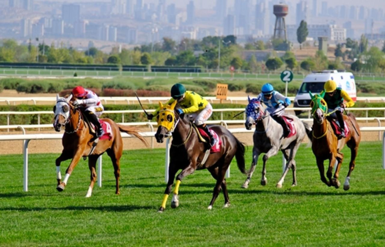 M. Zeki Tunca Koşusu'nu Gür Beyaz kazandı